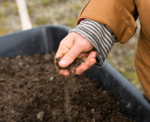 uberlandia ferub inscricoes abertas